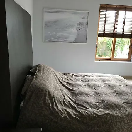 Villa With Heated Pool And Jacuzzi Close To Puerto Banus And *